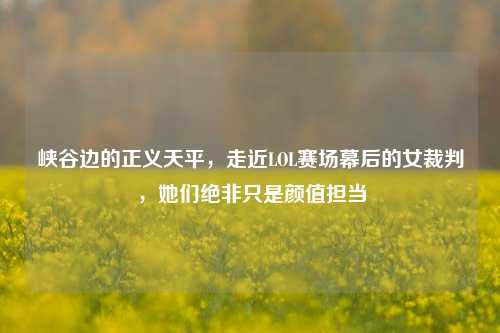 峡谷边的正义天平，走近LOL赛场幕后的女裁判，她们绝非只是颜值担当