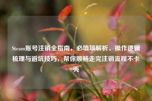 Steam账号注销全指南，必填项解析、操作逻辑梳理与避坑技巧，帮你顺畅走完注销流程不卡壳