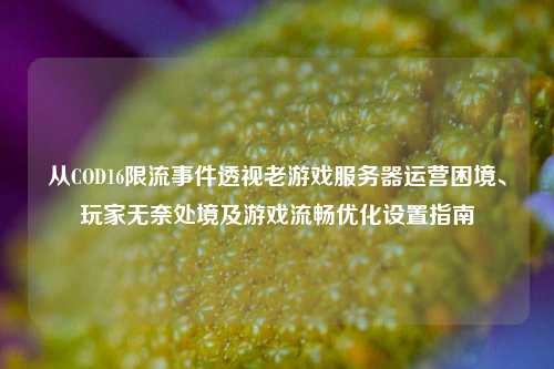 从COD16限流事件透视老游戏服务器运营困境、玩家无奈处境及游戏流畅优化设置指南