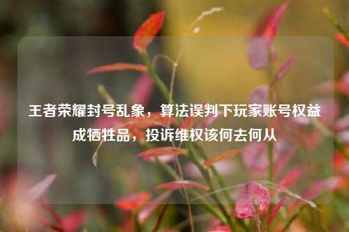 王者荣耀封号乱象，算法误判下玩家账号权益成牺牲品，投诉维权该何去何从