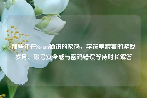 那些年在Steam输错的密码,字符里藏着的游戏岁月、账号安全感与密码错误等待时长解答