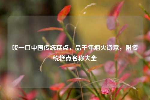 咬一口中国传统糕点,品千年烟火诗意,附传统糕点名称大全