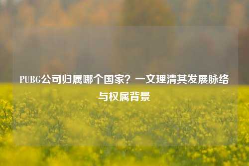 PUBG公司归属哪个国家?一文理清其发展脉络与权属背景