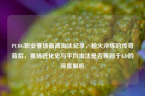 PUBG职业赛场最高淘汰纪录,枪火淬炼的传奇背后,赛场进化史与平均淘汰是否等同于KD的深度解析