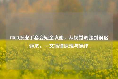 CSGO原皮手套变短全攻略,从视觉调整到误区避坑,一文搞懂原理与操作