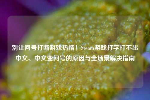 别让问号打断游戏热情！Steam游戏打字打不出中文、中文变问号的原因与全场景解决指南