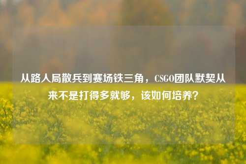 从路人局散兵到赛场铁三角，CSGO团队默契从来不是打得多就够，该如何培养？