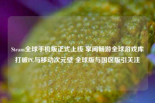 Steam全球手机版正式上线 掌间畅游全球游戏库打破PC与移动次元壁 全球版与国区版引关注