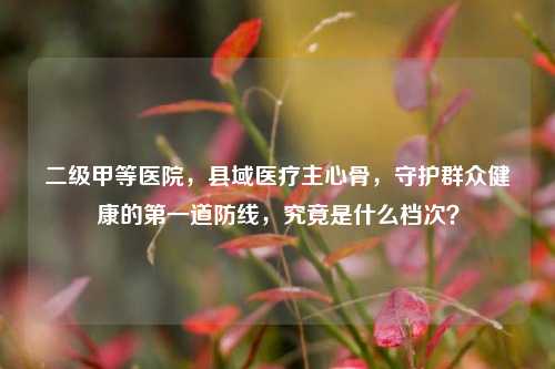 二级甲等医院，县域医疗主心骨，守护群众健康的第一道防线，究竟是什么档次？