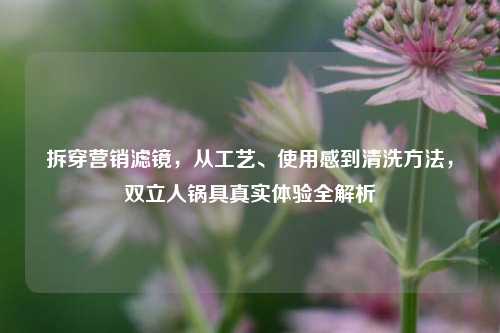 拆穿营销滤镜，从工艺、使用感到清洗方法，双立人锅具真实体验全解析