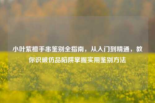 小叶紫檀手串鉴别全指南,从入门到精通,教你识破仿品陷阱掌握实用鉴别方法