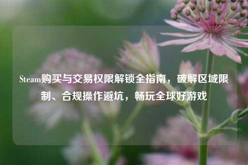 Steam购买与交易权限解锁全指南，破解区域限制、合规操作避坑，畅玩全球好游戏