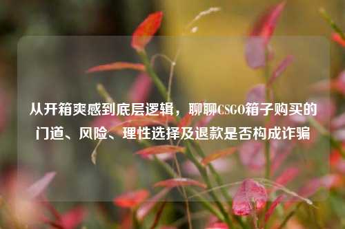 从开箱爽感到底层逻辑,聊聊CSGO箱子购买的门道、风险、理性选择及退款是否构成诈骗
