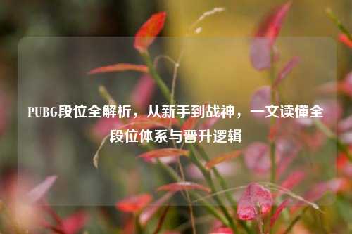 PUBG段位全解析，从新手到战神，一文读懂全段位体系与晋升逻辑