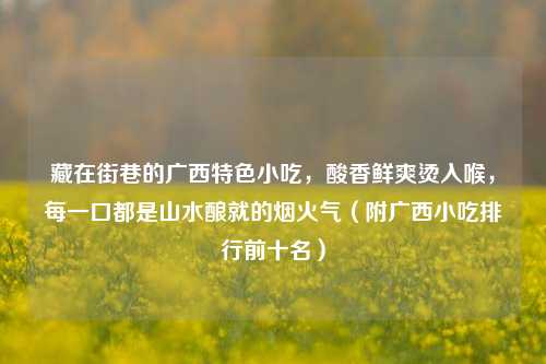 藏在街巷的广西特色小吃,酸香鲜爽烫入喉,每一口都是山水酿就的烟火气(附广西小吃排行前十名)