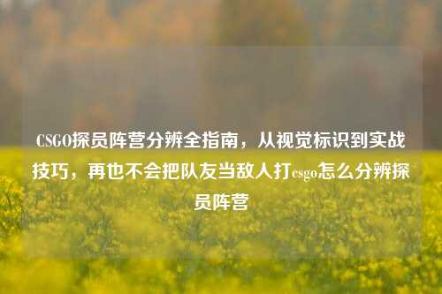 CSGO探员阵营分辨全指南，从视觉标识到实战技巧，再也不会把队友当敌人打csgo怎么分辨探员阵营