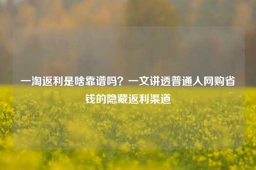 一淘返利是啥靠谱吗?一文讲透普通人网购省钱的隐藏返利渠道