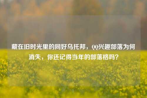 藏在旧时光里的同好乌托邦，QQ兴趣部落为何消失，你还记得当年的部落格吗？