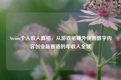 Steam个人收入真相，从游戏宅赚外快到数字内容创业新赛道的年收入全景