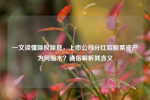 一文读懂除权除息,上市公司分红后股票资产为何缩水?通俗解析其含义