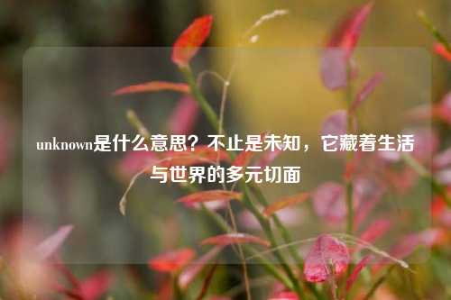 unknown是什么意思？不止是未知，它藏着生活与世界的多元切面