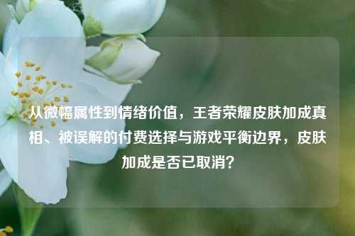 从微幅属性到情绪价值,王者荣耀皮肤加成真相、被误解的付费选择与游戏平衡边界,皮肤加成是否已取消?