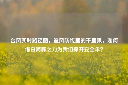 台风实时路径图,追风防线里的千里眼,如何借白海豚之力为我们撑开安全伞?