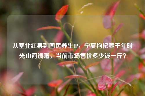 从塞北红果到国民养生IP，宁夏枸杞藏千年时光山河馈赠，当前市场售价多少钱一斤？