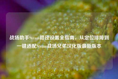 战场助手Steam路径设置全指南，从定位排障到一键适配Steam战场兄弟汉化版最新版本