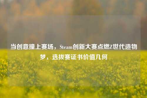 当创意撞上赛场，Steam创新大赛点燃Z世代造物梦，选拔赛证书价值几何