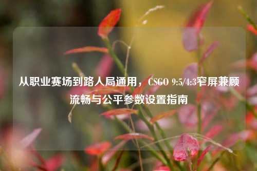 从职业赛场到路人局通用，CSGO 9:5/4:3窄屏兼顾流畅与公平参数设置指南