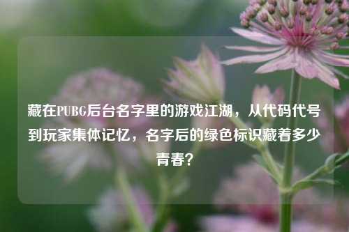 藏在PUBG后台名字里的游戏江湖,从代码代号到玩家集体记忆,名字后的绿色标识藏着多少青春?