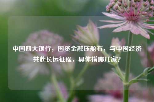 中国四大银行,国资金融压舱石,与中国经济共赴长远征程,具体指哪几家?