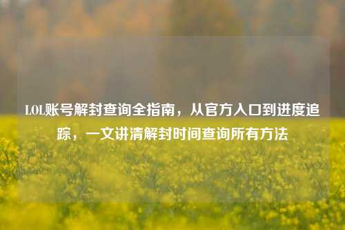 LOL账号解封查询全指南，从官方入口到进度追踪，一文讲清解封时间查询所有方法