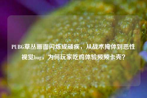 PUBG草丛画面闪烁成顽疾,从战术掩体到恶性视觉bug,为何玩家吃鸡体验频频卡壳?