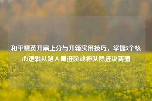 和平精英开黑上分与开箱实用技巧,掌握5个核心逻辑从路人局进阶战神队稳进决赛圈