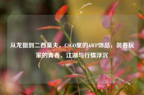 从龙狙到二西莫夫,CSGO里的AWP饰品,装着玩家的青春、江湖与行情浮沉