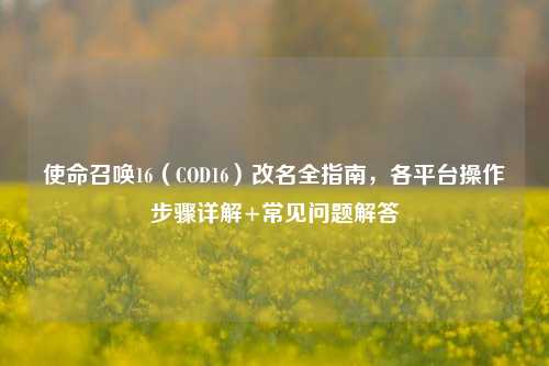 使命召唤16（COD16）改名全指南，各平台操作步骤详解+常见问题解答