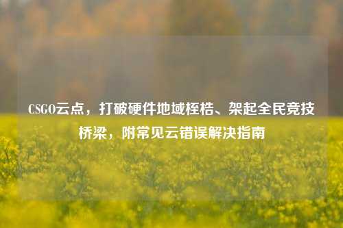 CSGO云点,打破硬件地域桎梏、架起全民竞技桥梁,附常见云错误解决指南