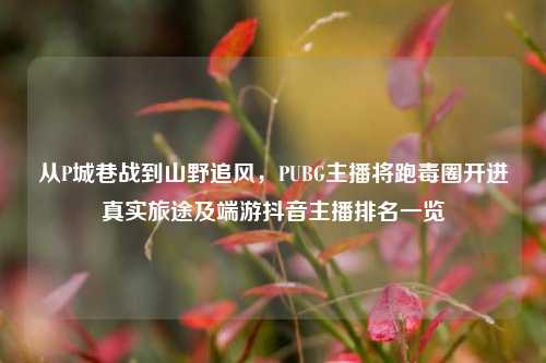 从P城巷战到山野追风,PUBG主播将跑毒圈开进真实旅途及端游抖音主播排名一览