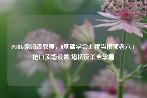 PUBG保姆级教程,0基础学会上桥当桥顶老六+枪口顶墙设置 堵桥反杀全掌握