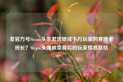 非官方号Steam头条君凭啥成千万玩家的赛博老班长？Steam头像被禁背后的玩家情感联结