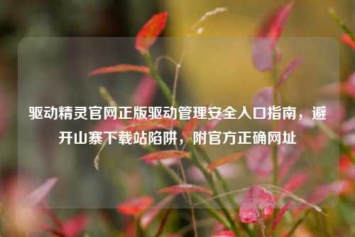 驱动精灵官网正版驱动管理安全入口指南，避开山寨下载站陷阱，附官方正确网址