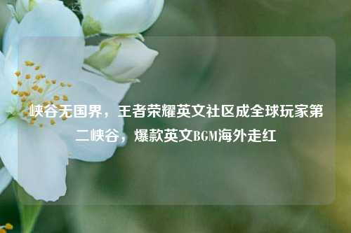 峡谷无国界,王者荣耀英文社区成全球玩家第二峡谷,爆款英文BGM海外走红