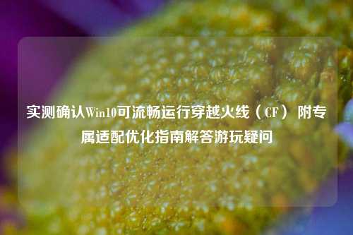 实测确认Win10可流畅运行穿越火线(CF) 附专属适配优化指南解答游玩疑问