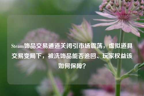 Steam饰品交易通道关闭引市场震荡,虚拟道具交易变局下,被洗饰品能否追回、玩家权益该如何保障?