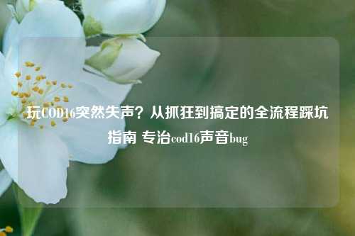 玩COD16突然失声?从抓狂到搞定的全流程踩坑指南 专治cod16声音bug