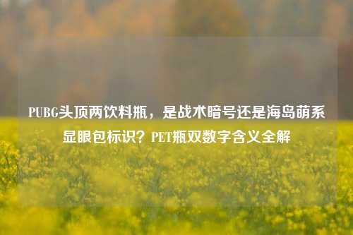 PUBG头顶两饮料瓶,是战术暗号还是海岛萌系显眼包标识?PET瓶双数字含义全解