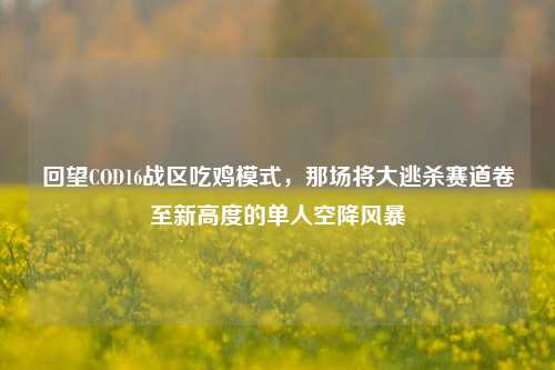 回望COD16战区吃鸡模式,那场将大逃杀赛道卷至新高度的单人空降风暴