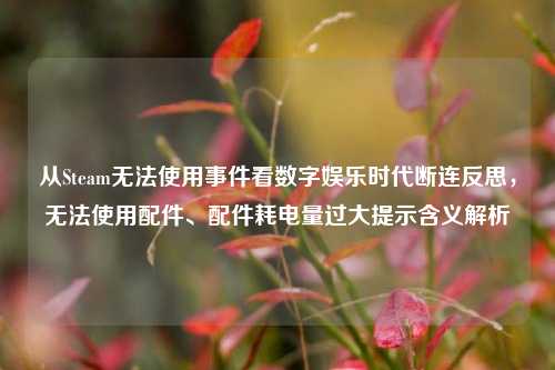 从Steam无法使用事件看数字娱乐时代断连反思,无法使用配件、配件耗电量过大提示含义解析